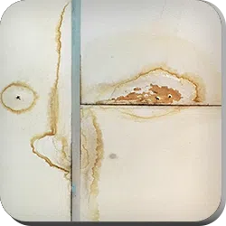 Deerfield Beach Restoration Company Deerfield Beach, FL 754-210-9244 - about-section-04