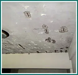 Deerfield Beach Restoration Company Deerfield Beach, FL 754-210-9244 Deerfield Beach Restoration Company Deerfield Beach, FL 754-210-9244 - broward-county