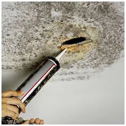 Deerfield Beach Restoration Company Deerfield Beach, FL 754-210-9244 - side-mold-wgr-1